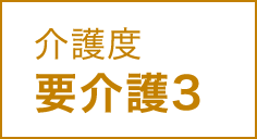 介護度 要介護3