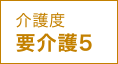 介護度 要介護5