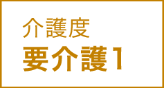 介護度 要介護1